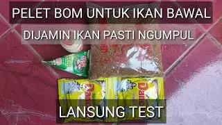 Cara membuat pelet bom ikan bawal terjitu langsung tes