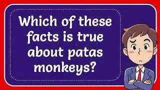 Which of these facts is true about patas monkeys?