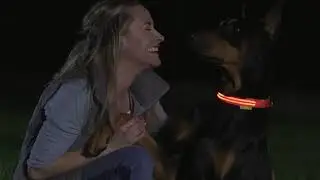 Waterproof LED Dog Collar