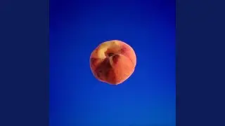 stonefruit