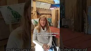 Обыграйте систему с помощью этой простой стратегии.