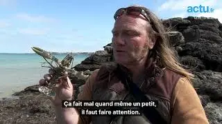 Les secrets d'Arnaud pour pêcher le homard à pied