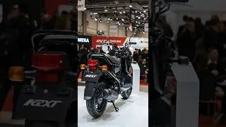 2026 Honda Ruckus GY6 50cc Is INSANE! This Small Scooter Just Changed Everything