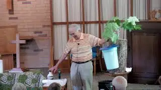 Oasis - May 14, 2025 - Maple Syrup - Luke Hunt