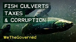 Fish Culverts, Taxes & CORRUPTION (of course):  More news from Washington State