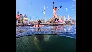 Swim at HTO Urban Beach  = Toronto's only accessible beach!