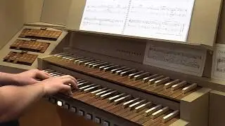 Michael Schütz - Impressions