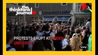 Netherlands Police Accused of Violence at Anti Israel Protest