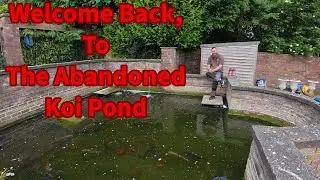 Ep.5 - Cleaning The Abandoned Koi Pond
