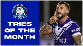 NRL Highlights | Canterbury-Bankstown Bulldogs Top Tries of May