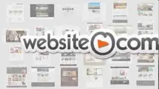 WEBSITE LTD Website.com
