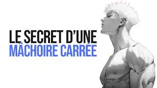 Le secret anatomique derrière une mâchoire parfaite (l'os hyoïde)