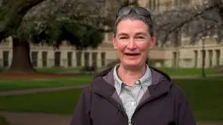 Soundbites & B-roll: UW cherry blossoms reach peak bloom