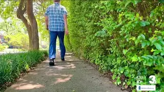 Take a walk around Norfolk's Colonial Place neighborhood
