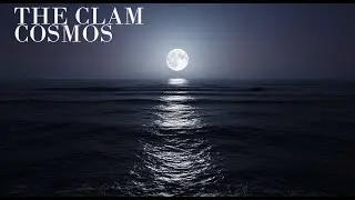 The Calm Cosmos| How the Moon Controls the Ocean: The Science of Tides