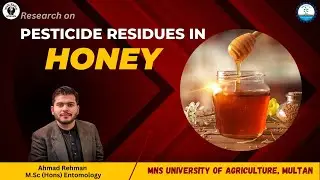 Pesticide Residues in Honey - MNS University of Agriculture Multan