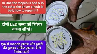 12 Watt Two Pieces LED Bulb Repair (Repair 2 Pieces 12 Watt LED Bulbs).