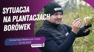 Aktualny komentarz o sytuacji na plantacji bor&oacute;wek od Pro Berry - Mateusz Czok, 17.05.2025
