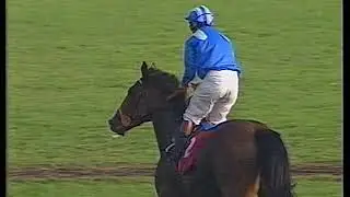 1995 Dewhurst Stakes Alhaarth Includes Replay