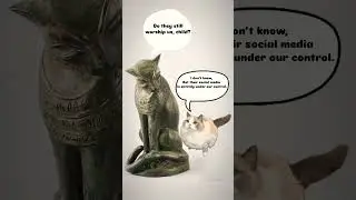 Cats and Social Media 😎 #cats #shorts #viral #socialmedia