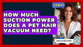 How Much Suction Power Does A Pet Hair Vacuum Need? - Home Appliance Report