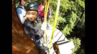 Zip Lining on the giant Redwood trees in Santa Cruz!  - Mount Hermon Adventures