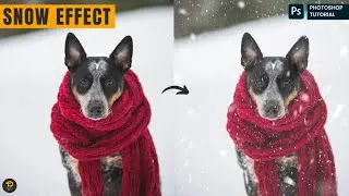 Snow Effect In Photoshop: Add Realistic Snow to Your Photos with Photoshop