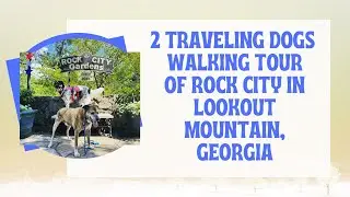 Walking Tour With 2 Traveling Dogs Of Rock City