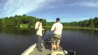 Pitching Jigs for Weed-Living Crappie