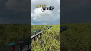 Dobaki Sundarban #travel #shortvideo #ytshorts #sundarban