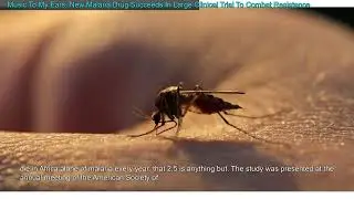 Music To My Ears: New Malaria Drug Succeeds In Large Clinical Trial To Combat Resistance