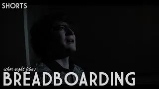 BreadBoarding | an ichor short
