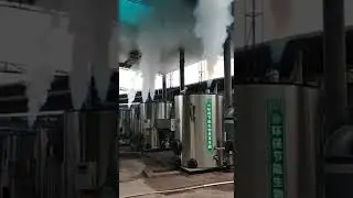 Factory Price #biomass Pellet #steam Generator for Sale #boiler #boilerroom #steamgenerator #factory