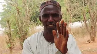 Herders and Farmers: Neighbours in Conflict