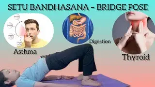 Why You Need to Learn the Yoga Bridge Pose #yoga #shorts #bridge pose #setu bnadhasna #trending .