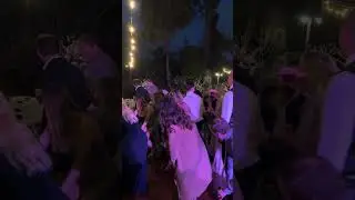 Top Wedding line dance to Cha Cha Slide