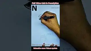 Vocabulary Drawing - N is for Nest, Nose, Nut | Fun Learning with Rhymes & Drawing for Kids
