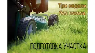 Три недели без покоса