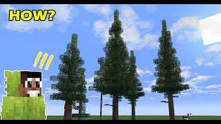 How To build Trees Like Bdubs In Minecraft 2025!