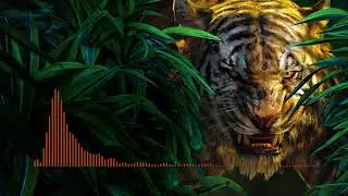 Down With The Jungle | Low Bass House Remix (DJ Jayms & TommyV)