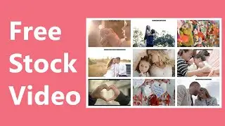 Love Stock Video | 2020