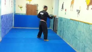 SEISAN KATA BY MASTER ARKIA ROBEEN - AGKAI ISRAEL.