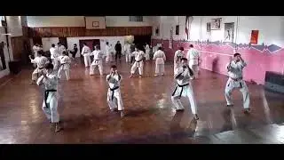 teesho kata