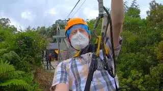 Flight of the Colugo - The Habitat at Penang Hill