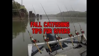 Catfishing Tips for Rivers