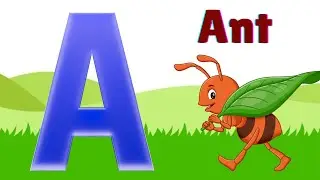 A for Ant B for Bear | for English education for kids ABC song | Nursery rhymes | ABC phonics song