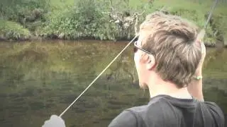 Moose on a flyrod - www.frontsidefly.com