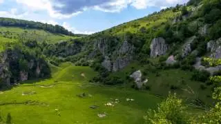 HAI,HAI,HAIDI,HAI(Pe sub flori mă legănai...)-Doru Stănculescu
