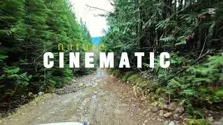 Scenic road to Clear Creek Hot Springs BC Canada