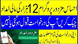 how to check ehsaas labour program approval application ,check your application status